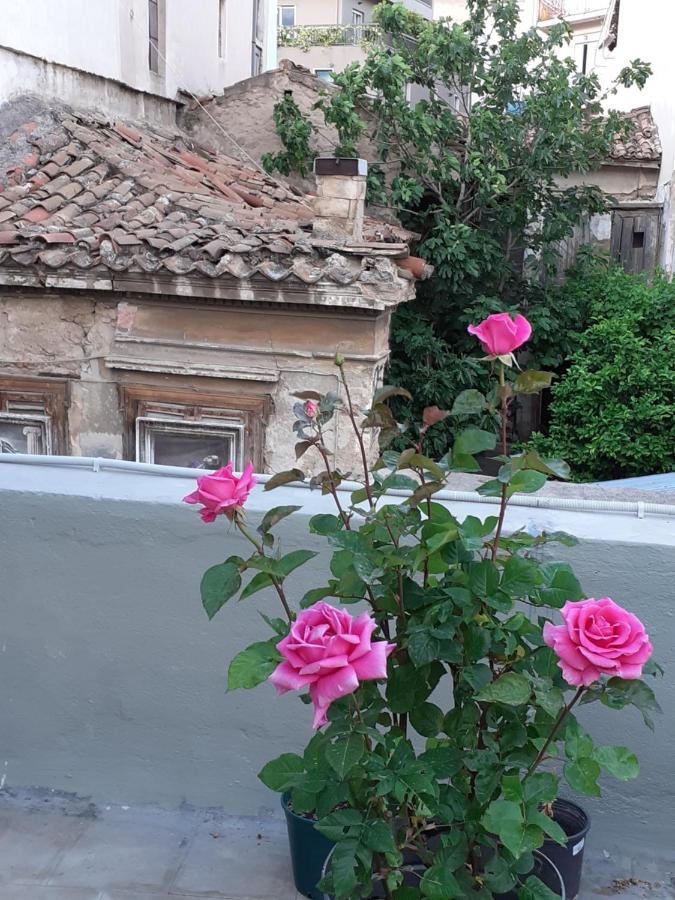 17 Flats And Roof Garden Apartment Athena Bagian luar foto