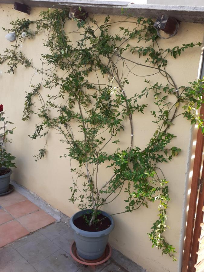 17 Flats And Roof Garden Apartment Athena Bagian luar foto