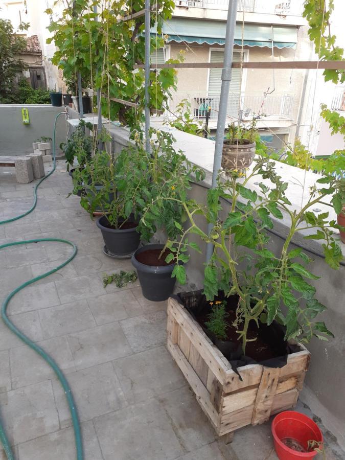 17 Flats And Roof Garden Apartment Athena Bagian luar foto
