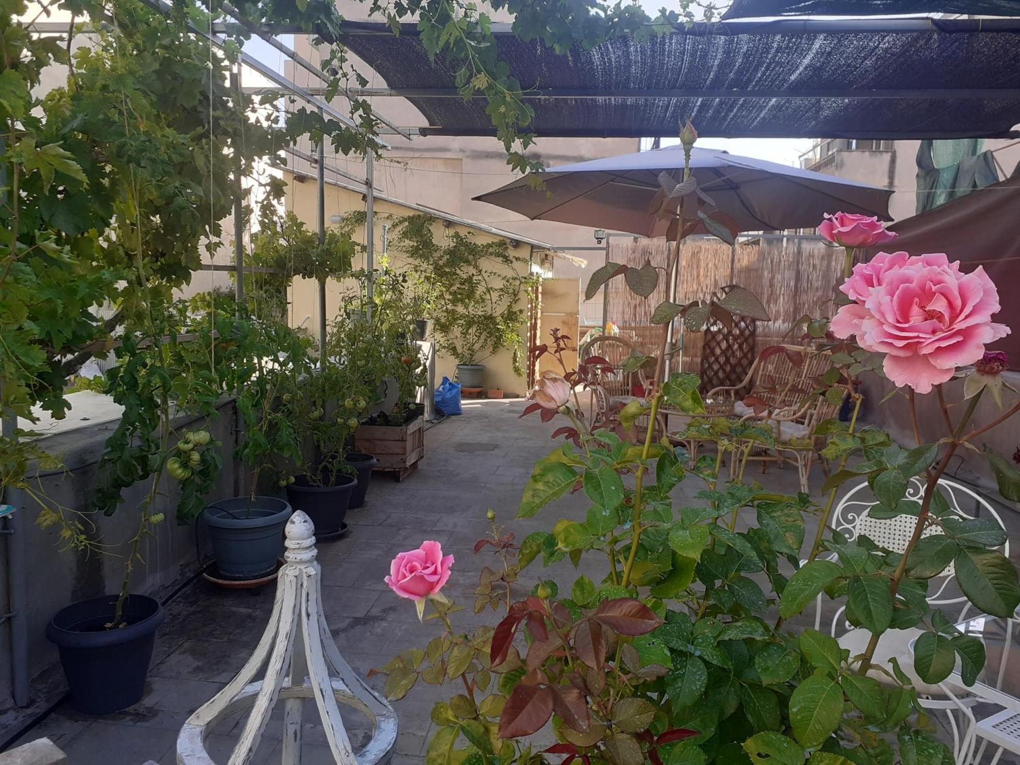17 Flats And Roof Garden Apartment Athena Bagian luar foto